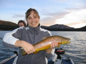 anna23.5inch4lbbrown.jpg