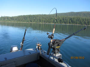 dldratcrescentlakesummer2012.jpg