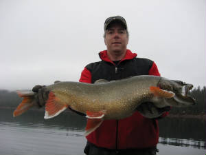 gorgeouslaketrout.jpg