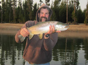 rdcloseup6lberwickiup2012.jpg