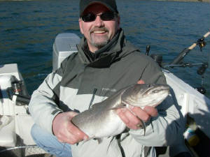 tomlewis23inch5lbbulltrout.jpg