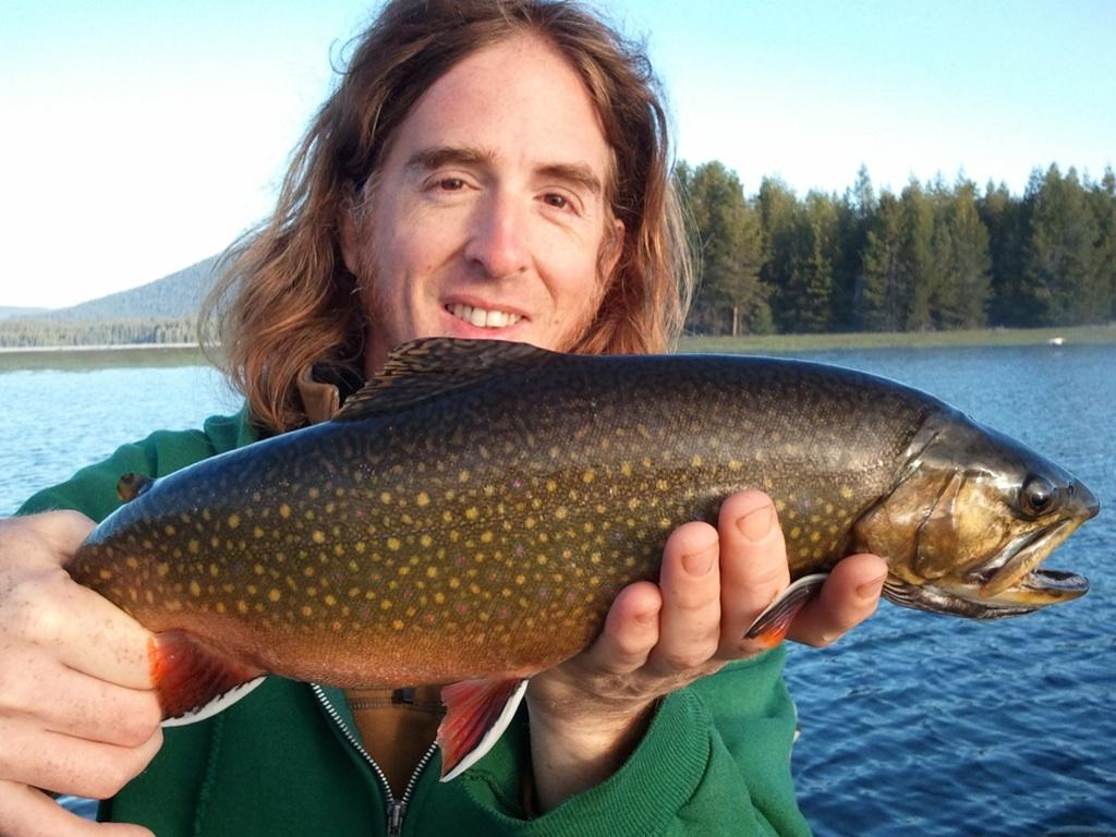 3lbbrookie.jpg