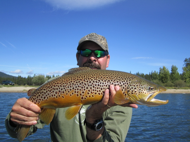 6lbbrownwickiup091811.jpg