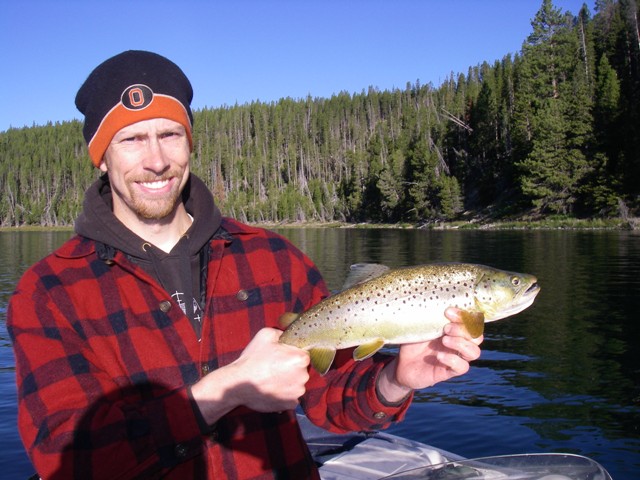 bwild3lbchunkbrown.jpg