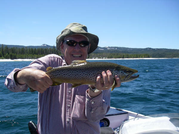 dad4lb22inchhookjaw.jpg