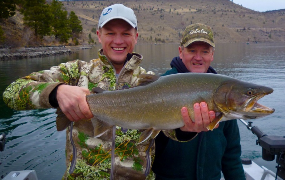 zachmansfield34inch15lbbulllbc.jpeg